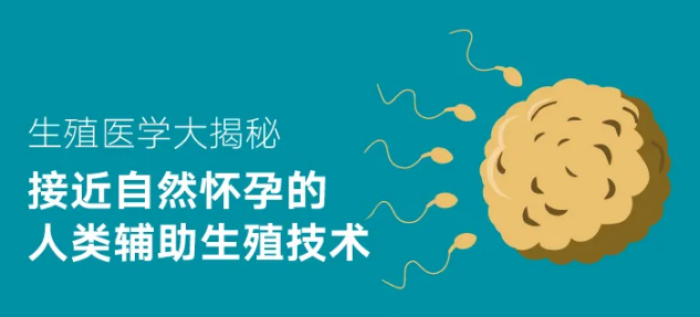 關于人工授精術前檢查，你最關心的問題答案都在這一篇里了！