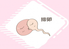 導(dǎo)致女性排卵障礙的病因有哪些