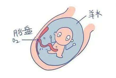 孕媽胎寶是否安好，羊水指標(biāo)你要知曉