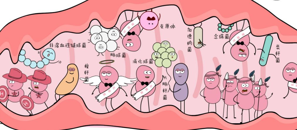 女性須知丨3道天然屏障守護私處健康，其中1道易被“誤傷”！